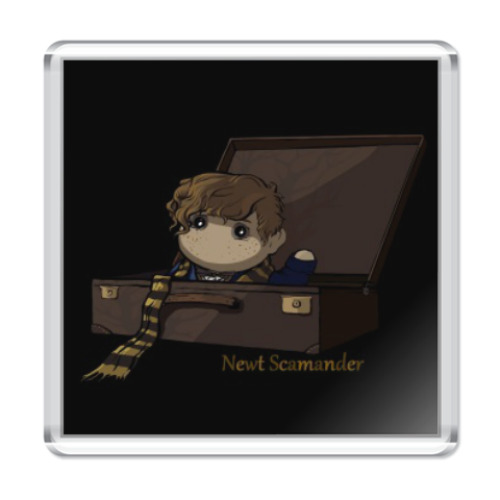 Магнит с принтом Newt Scamander