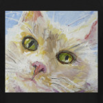 Нежный котик