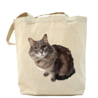 Холщовая сумка