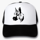 Кепки Trucker