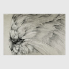 Былый попугай