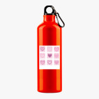 Металлическая бутылка 700 мл UV-DTF