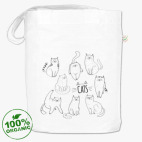 Котоколлекция