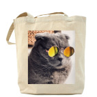 Холщовая сумка