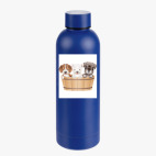 Термобутылка