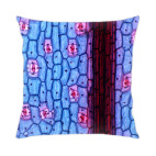 Подушка 35x35 см с цветной обратной стороной Живые клетки организма