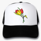 Кепки Trucker