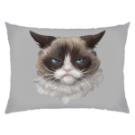 Grumpy Cat / Сердитый Кот