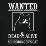 Кот Шрёдингера