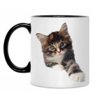 Кружка двухцветная