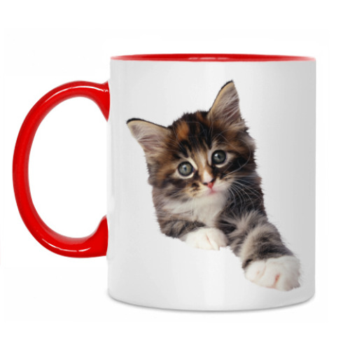 Кружка с принтом Кот