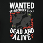 Кот Шрёдингера