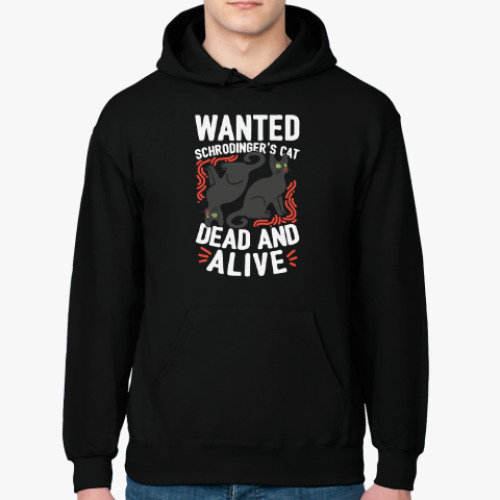 Толстовка худи с принтом Кот Шрёдингера
