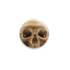 Череп - глазницы