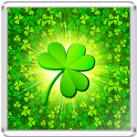 Клевер на счастье