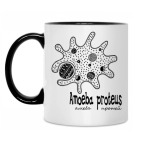 Amoeba&Paramecium