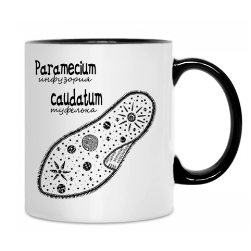 Кружка с принтом Amoeba&Paramecium