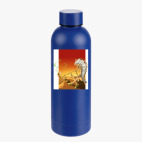 Термобутылка