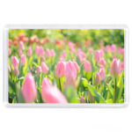 Тюльпаны на лугу