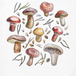 Принт с лесными грибами