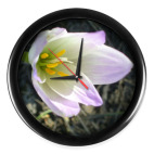 'Цветок западного ветра'