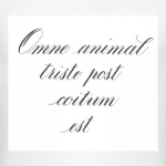 Omne animal triste post coitum est