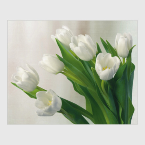 Постер с принтом Тюльпаны