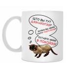Странный кот