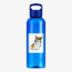 Прозрачная спортивная бутылка