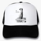 Кепки Trucker