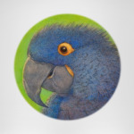 ARA