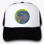 Кепки Trucker