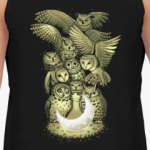 Owls are not what they seem