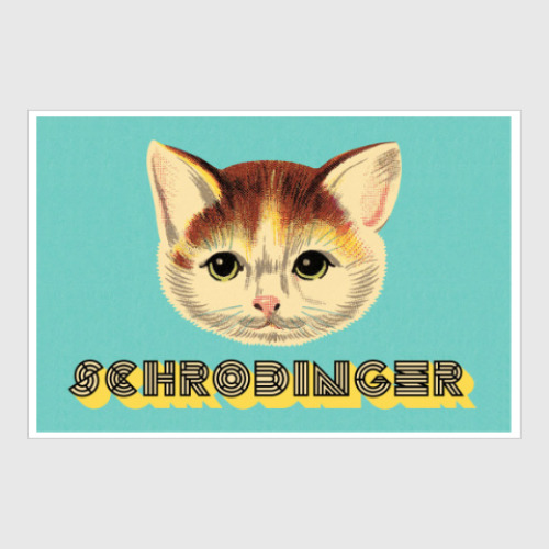 Постер с принтом Кот шредингера