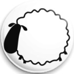 sheep blank