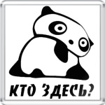  панда