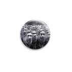 Овечки в очках