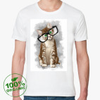 Котенок в очках