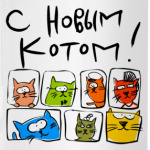 С новым Котом!