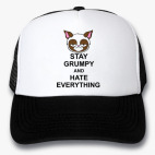 Кепки Trucker