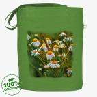 Ромашковый сюжет