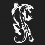 Дикая Кошка