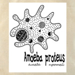  Amoeba&Paramecium