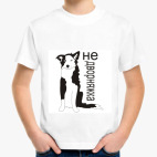 бордер колли