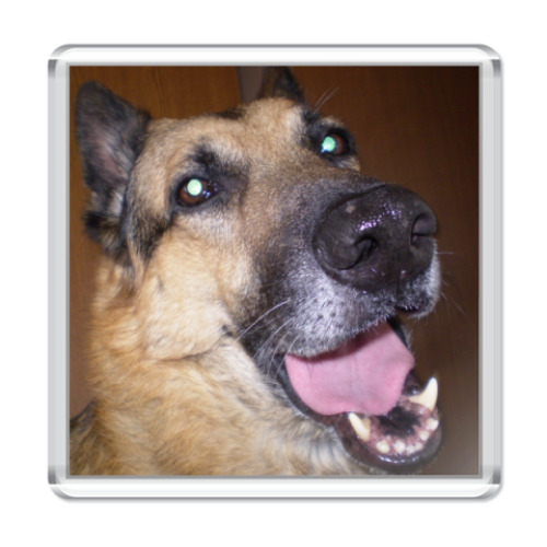 Магнит с принтом  'ГАВ!'