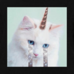 котик единорог