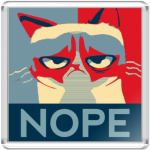 Grumpy cat - NOPE