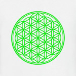 Цветок жизни (Друнвало)