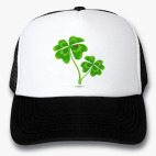 Кепки Trucker