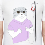 Медбрат - Скотиш фолд